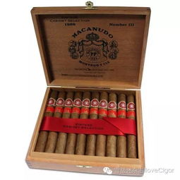 现代极简抽雪茄椅,融合人体工学与时尚设计