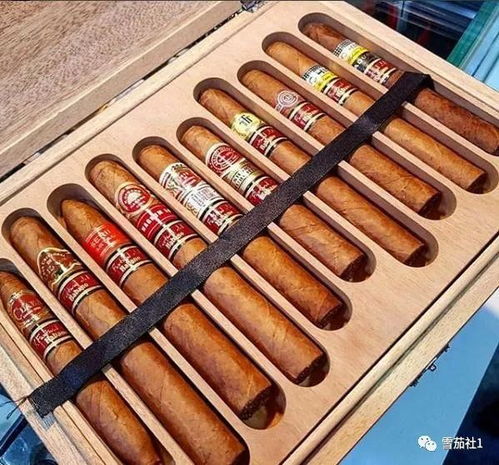品味生活，享受顶级雪茄的雅致