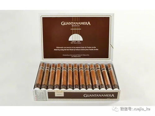 一位享用雪茄的绅士，背景是夕阳下的机车，象征激情与自由的完美融合