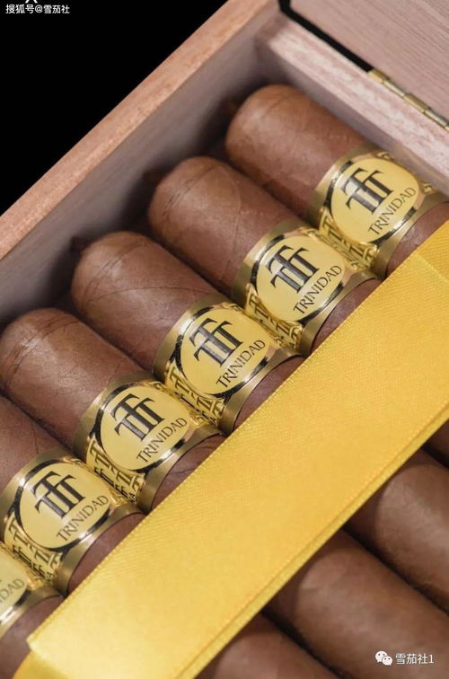 盘锦湿地与雪茄文化融合的意境表达