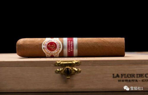 卡塔尔雪茄品鉴活动现场