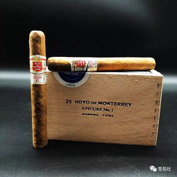 古老葡萄园与传统雪茄工坊的完美结合