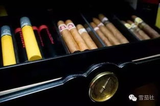 雪茄寄递的专业冷链运输车