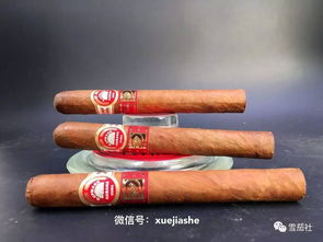 雪茄大佬在昏暗氛围中优雅抽烟的形象