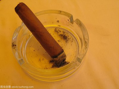 多款雪茄钳整齐摆放，展示丰富选择