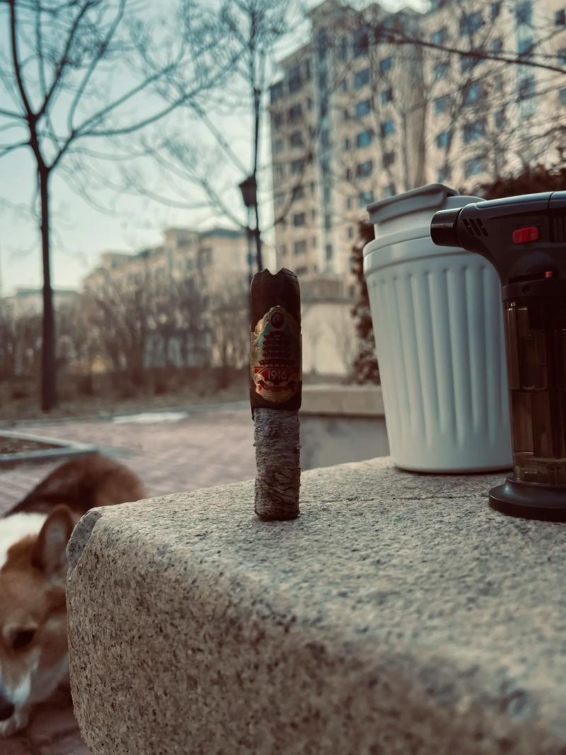 高端雪茄与奢侈品收藏