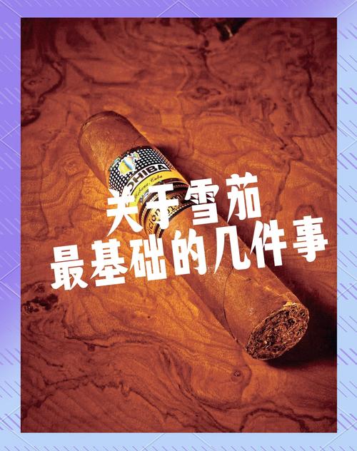 店铺内部的雪茄展示架，烟雾缭绕中透露出神秘与优雅