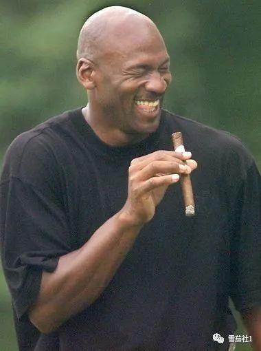 现代温室中科技助力雪茄烟叶种植,展示未来发展的方向