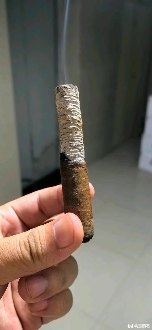 不同尺寸的雪茄，价格也各不相同