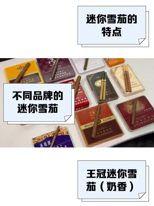 雪茄爱好者手持乐扣盒展示其密封效果