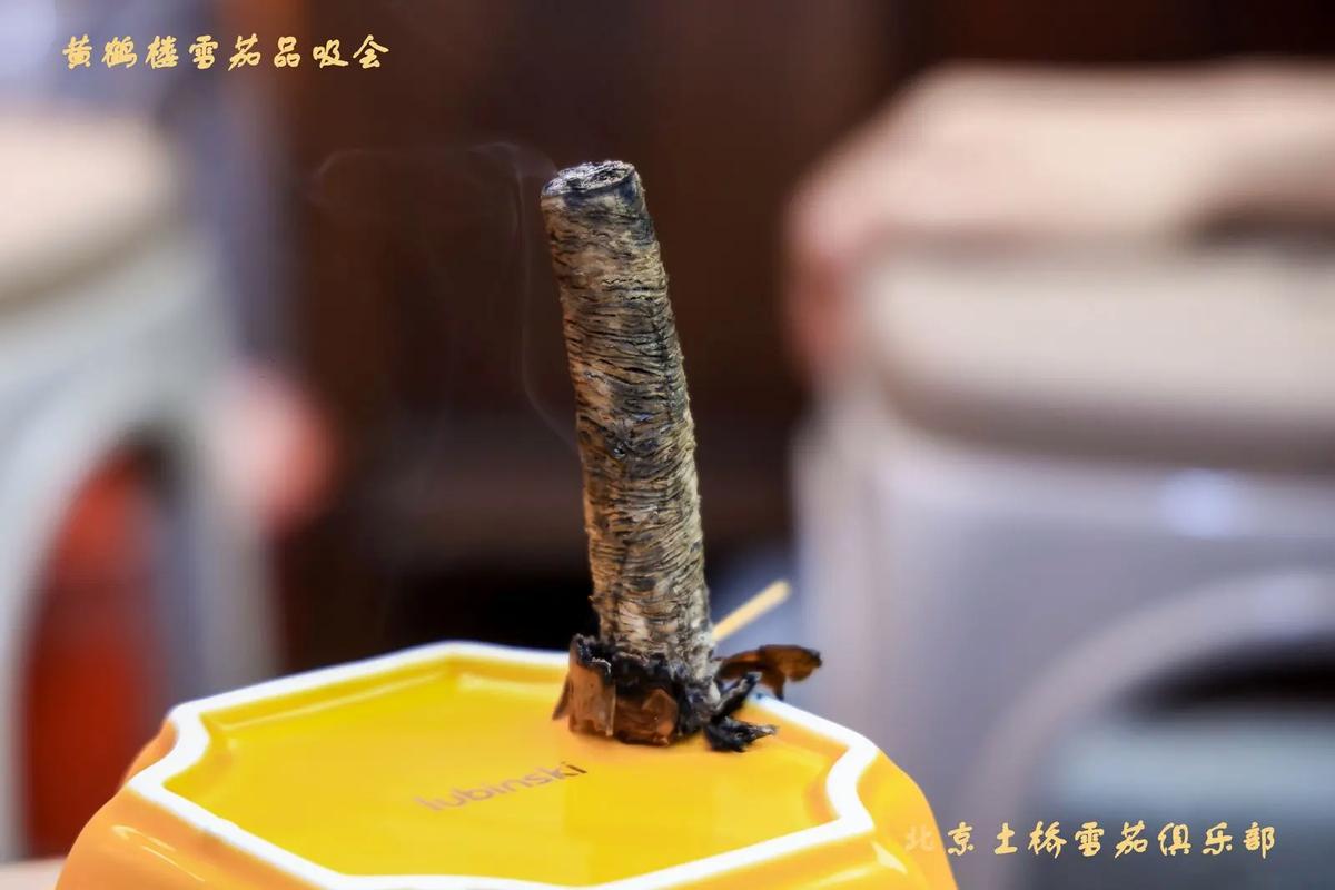 金项链与雪茄的奢华搭配
