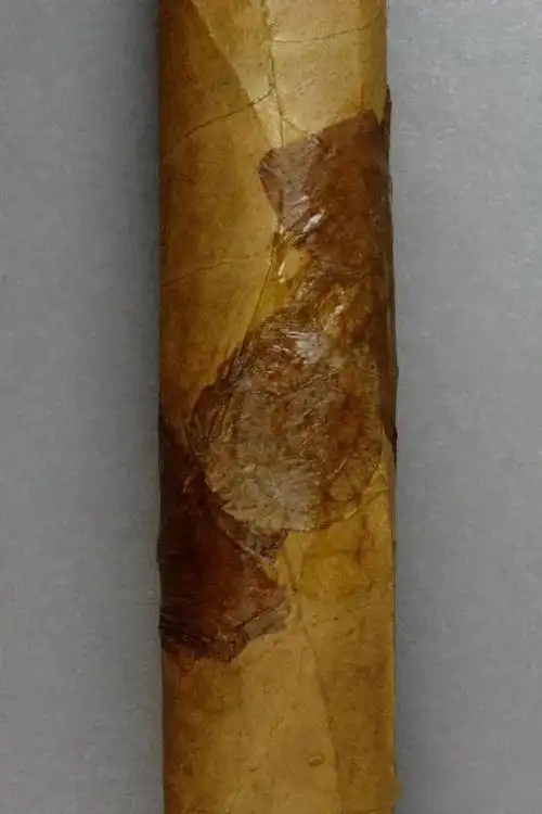 威海高端雪茄品鉴活动现场