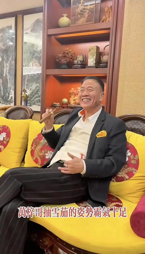 巴山雪茄在陈列柜中的精美包装展示