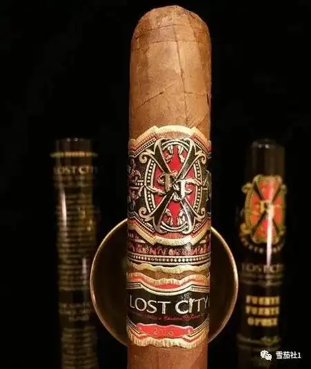 精致保存的高档雪茄展示