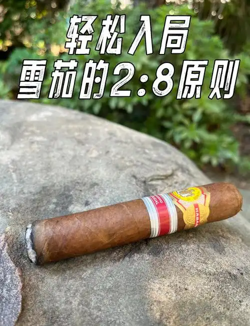 便携雪茄与高端旅行装备的结合