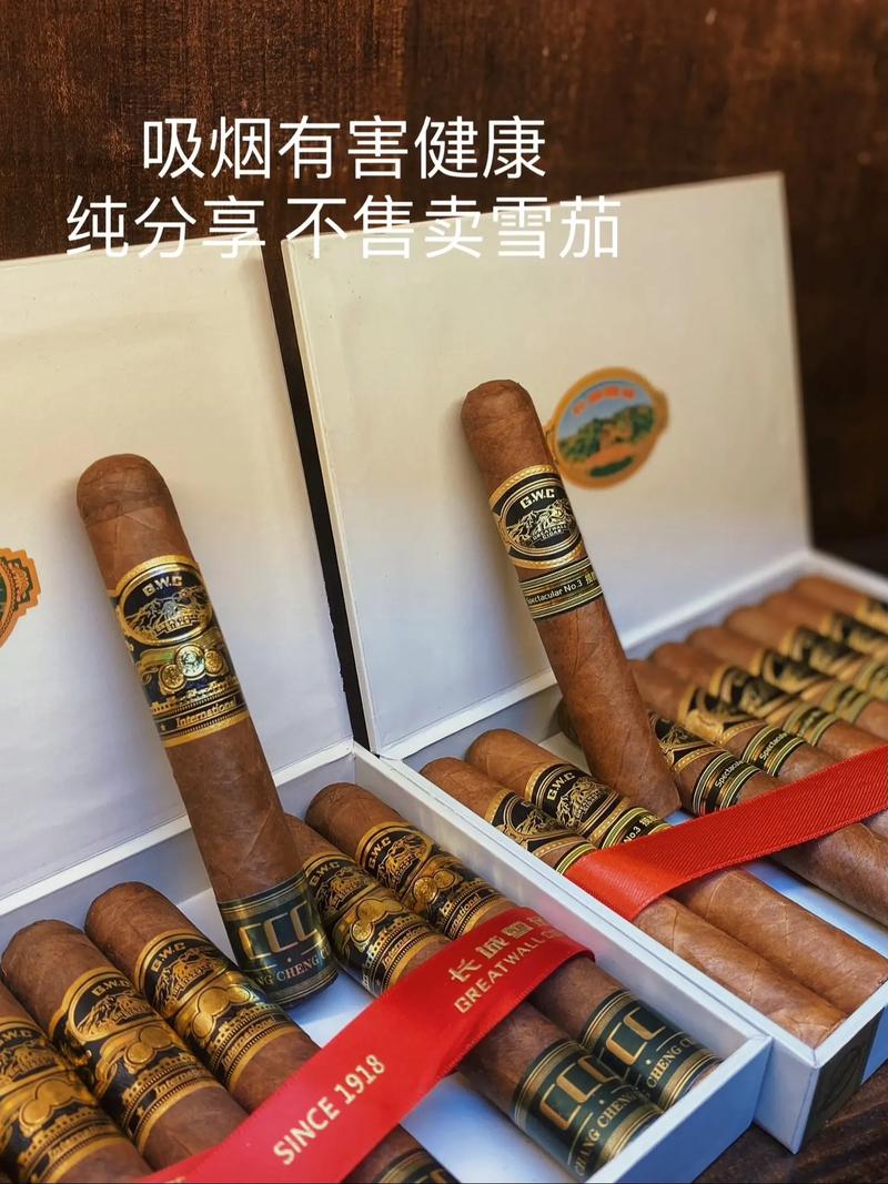 品尝四川雪茄的场景，展示人与烟草的互动