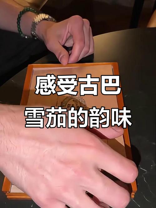 一支泰山雪茄在精致的雪茄盒中，周围散落着烟灰缸和雪茄剪，背景模糊，营造出一种品味和享受的氛围
