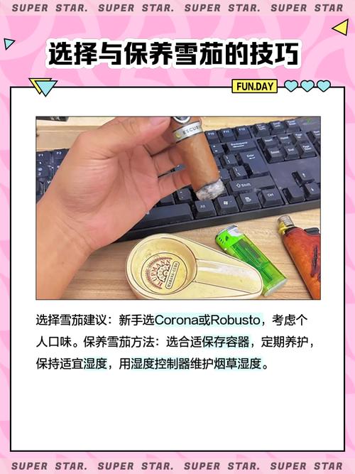 古巴的烟草种植园，郁郁葱葱的烟草叶在阳光下生长