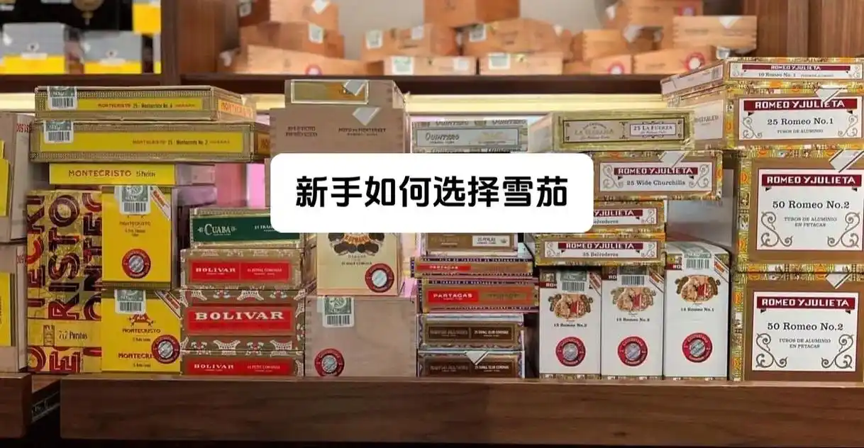 山东雪茄店内精美陈列的各类雪茄