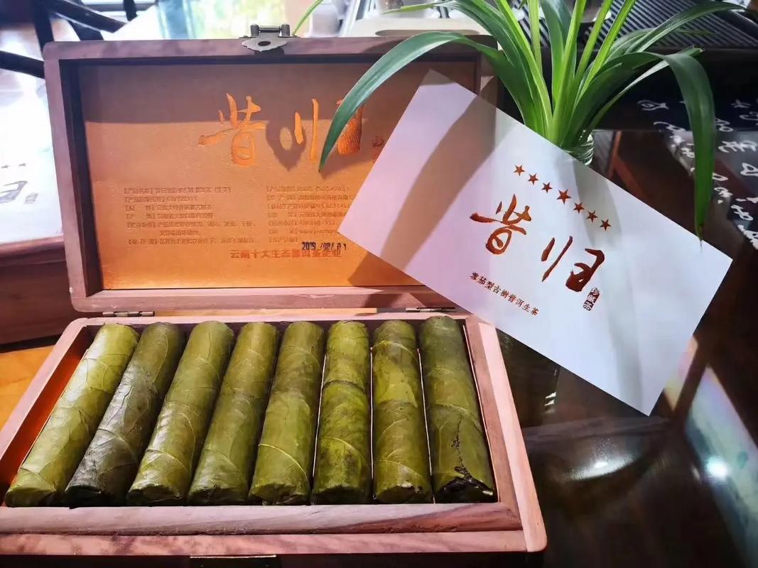 奢华雪茄店内部陈列