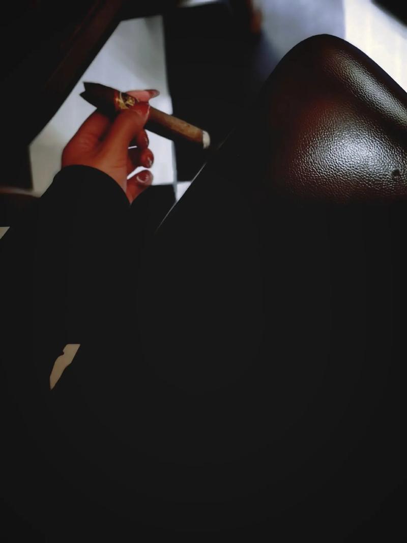 多款军阀雪茄整齐排列