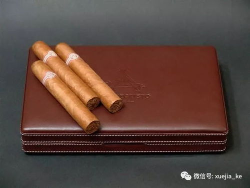 冰冻雪茄和冰块的组合展现出别样的冷冽魅力