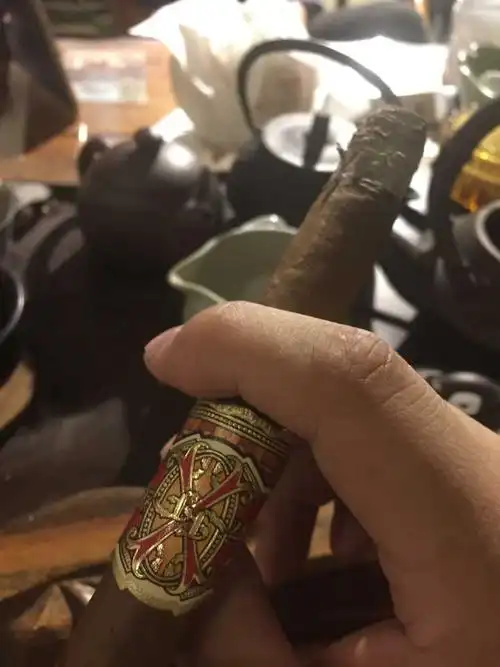 悠闲的雪茄品鉴时光