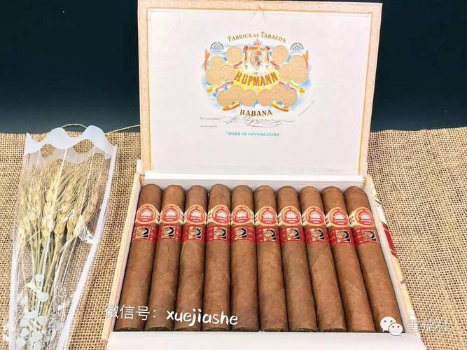 法老雪茄与经典品牌雪茄的丰富对比
