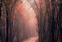 揭秘高碑店隐藏的雪茄宝藏店铺  